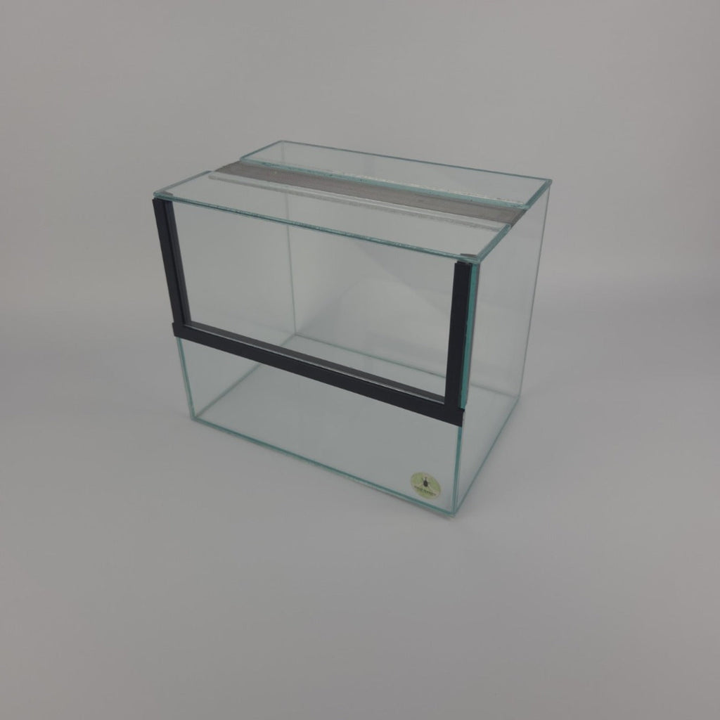 Glazen insectenterrarium 30 × 20 × 25 cm schuin van voren