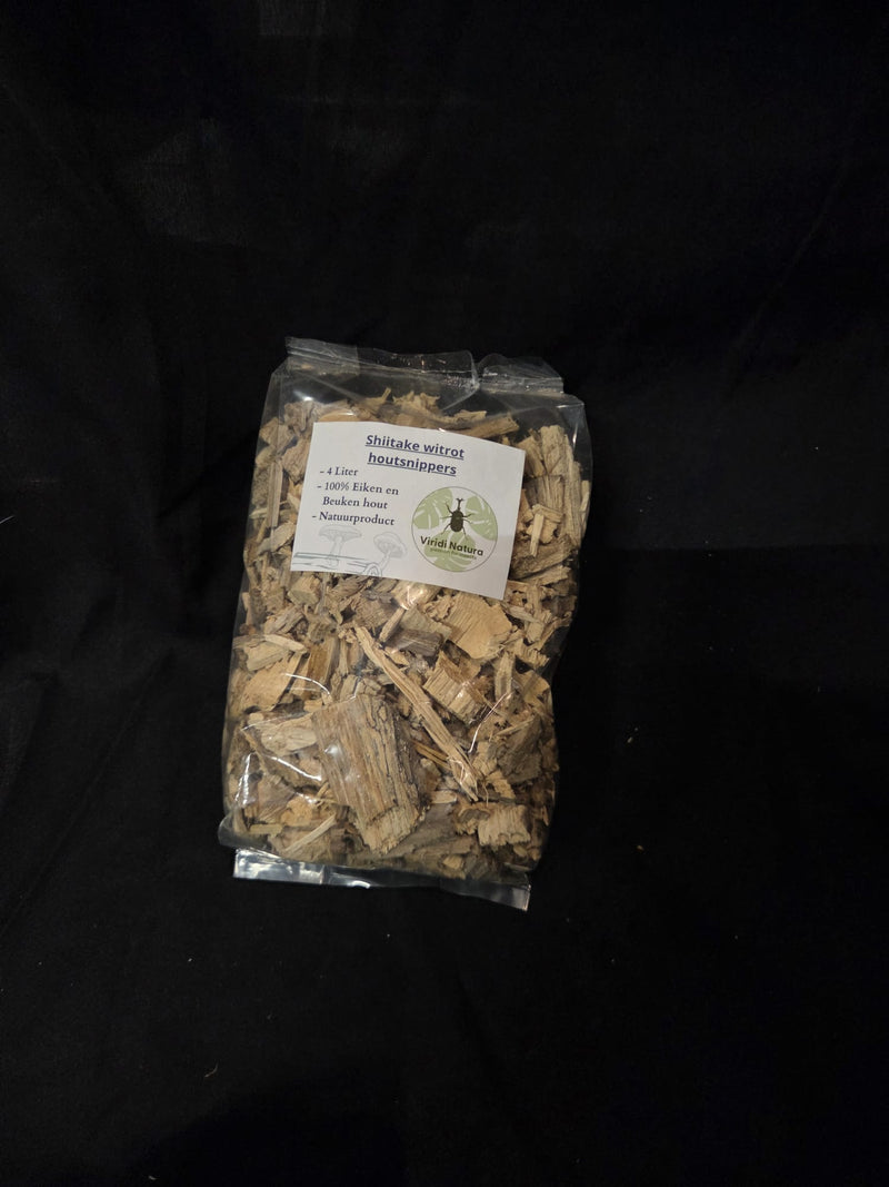 Shiitake witrot houtsnippers