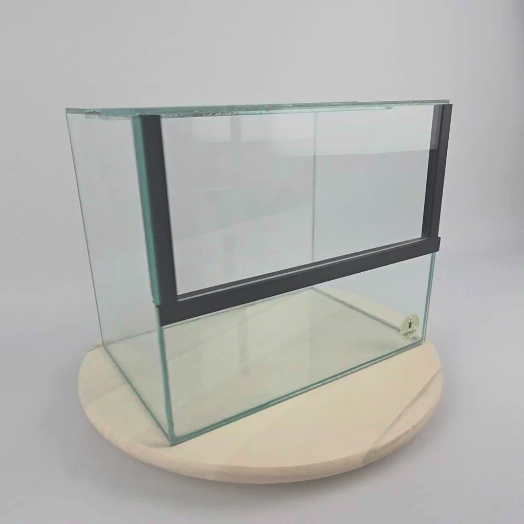 Insectenterrarium 30 × 20 × 25 cm