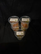 Jelly Cups – 10 Stück