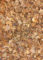 Keverlarven substraat