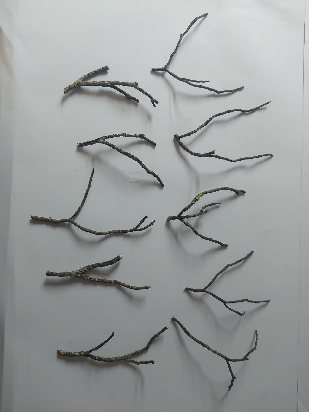 Kleine decoratie takjes