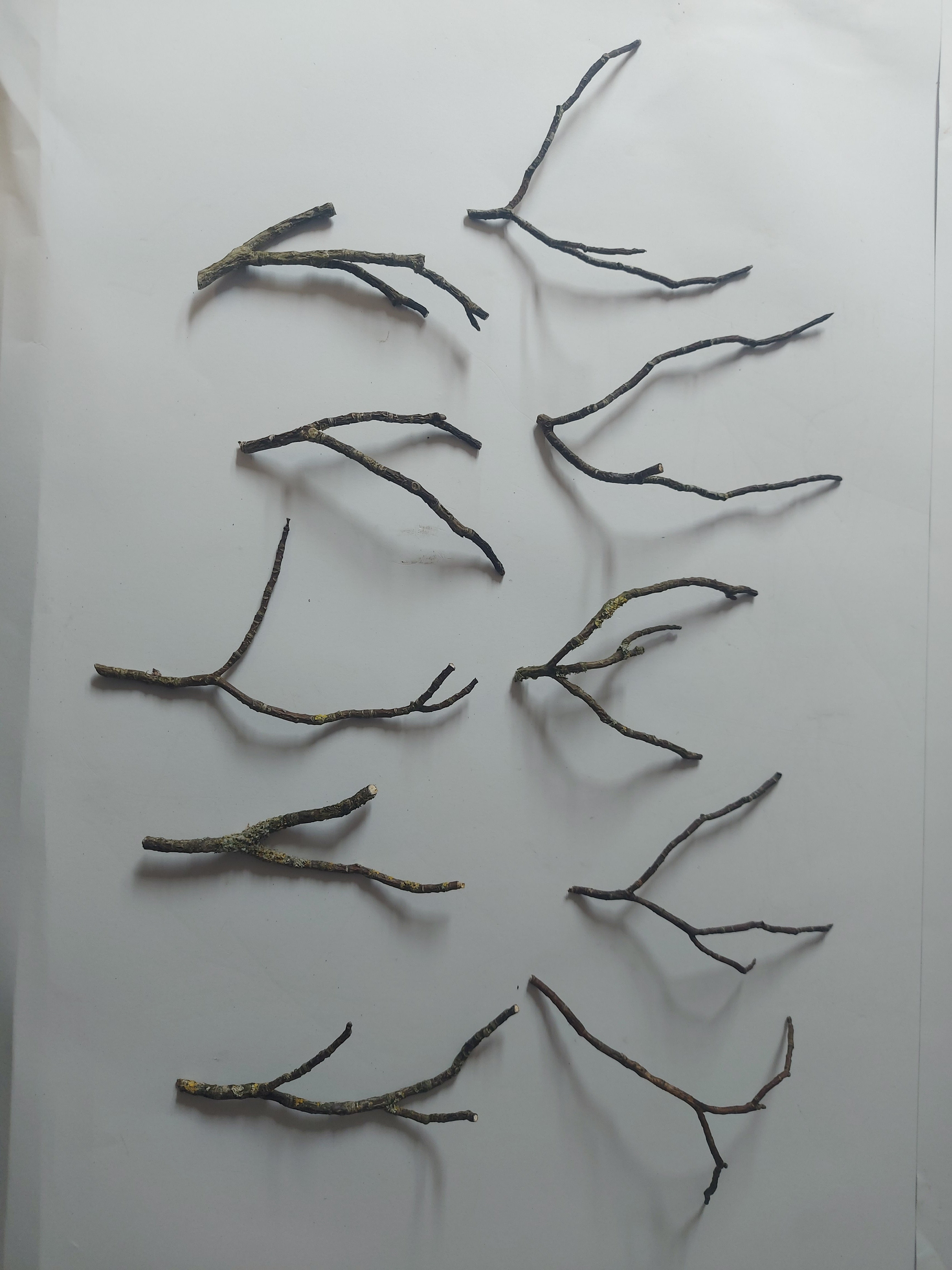 Kleine decoratie takjes