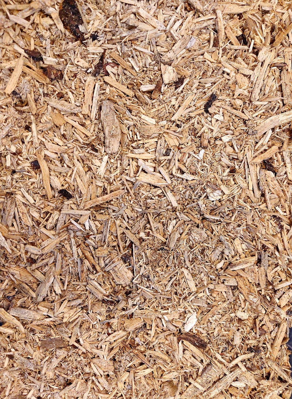 Shiitake-Weißfäule-Holzspäne, 4-Liter-Säcke