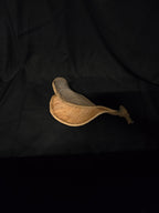 Elefantenohr-Dekorationsnuss