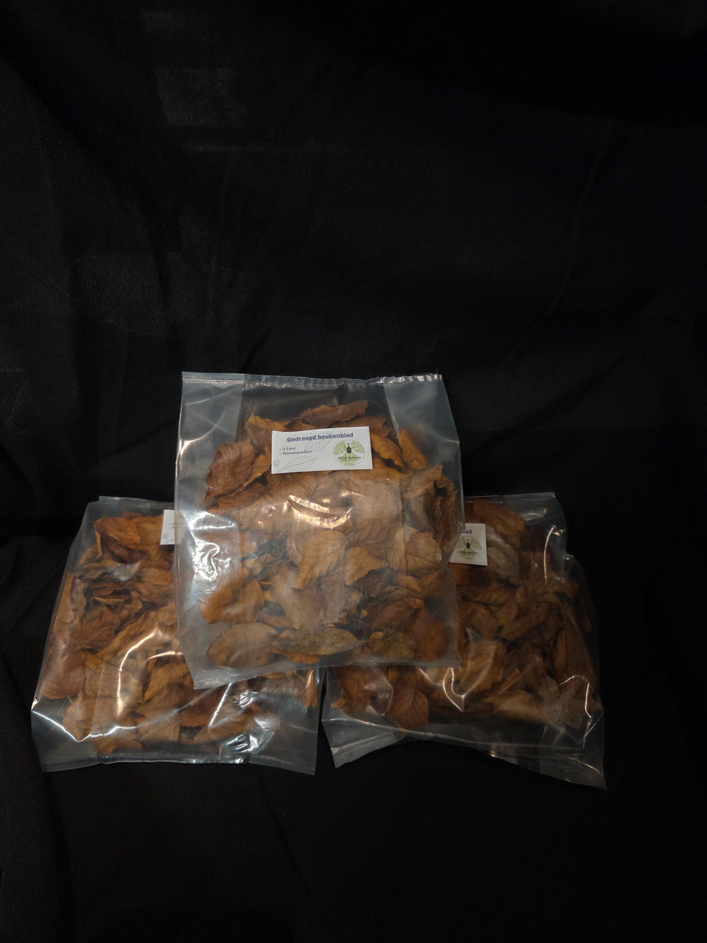 Gedroogd beuken blad