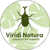 Viridi Natura – passion for insects